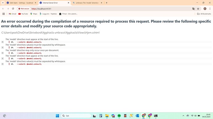 Umbraco fault