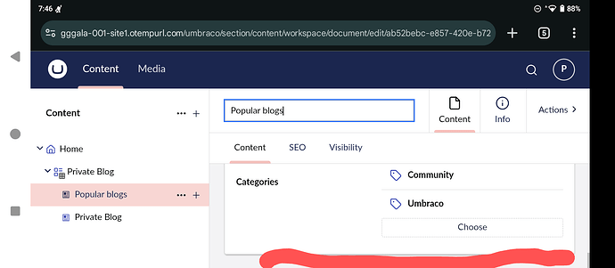 An open webpage called "Popular blogs" displays in a content management system, offering categories for the blog such as "Community" and "Umbraco". (Captioned by AI)