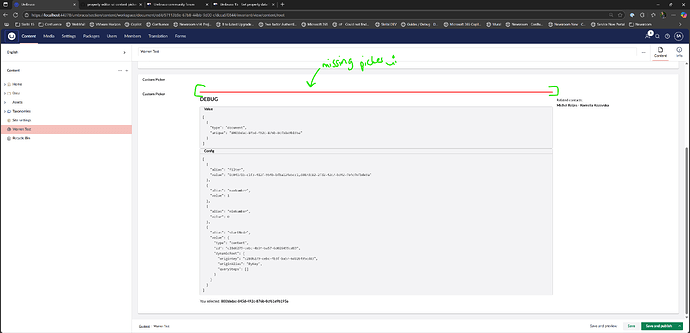 A screenshot of a website interface displays JSON code in a debug section, with a red line and text indicating 'missing pictures in' at the top. (Captioned by AI)