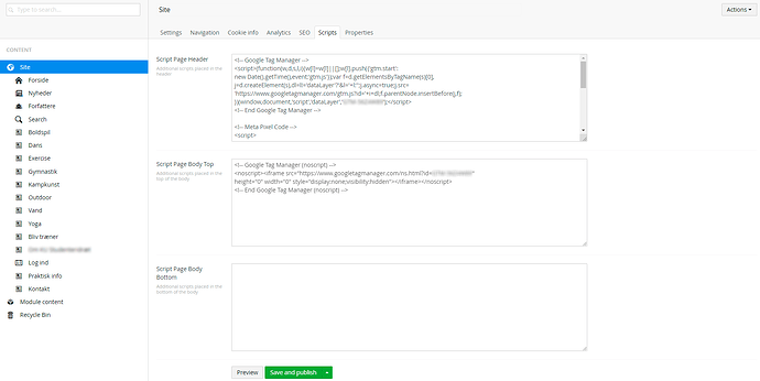Main option in navigation "Site".