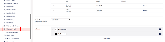 The image shows the layout settings in an application, where the user can order list views and add layouts. (Captioned by AI)