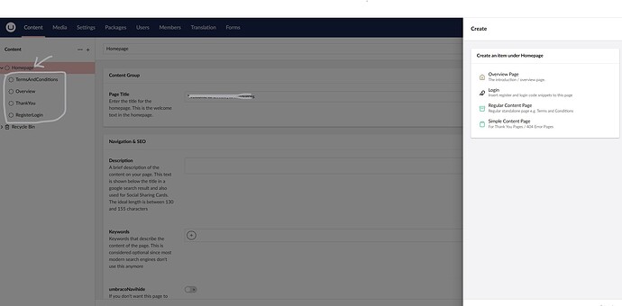 The image shows the Content Management System Umbraco with a focus on creating new content under the "Homepage" section, offering options like "Overview Page", "Login", "Regular Content Page", and "Simple Content Page". (Captioned by AI)