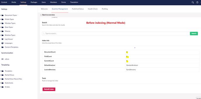 Before indexing Normal mode