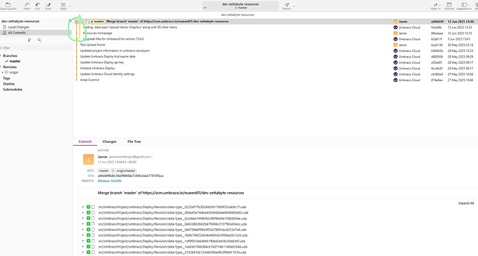 This screenshot shows a graphical interface of a code repository, likely using Git, displaying the commit history, branch management, and file changes within the 'dev-zettabyte-resources' project. (Captioned by AI)