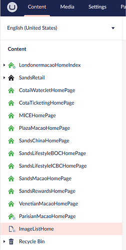 The image shows a dropdown menu from a website content management system listing various homepage options, followed by an image list and a recycle bin. (Captioned by AI)