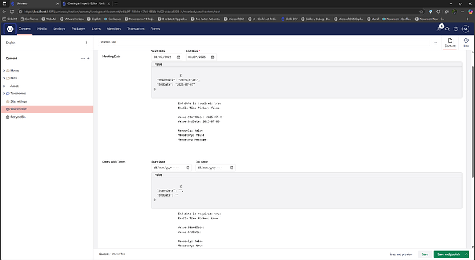 The image shows a website interface with fields for start and end dates for meeting dates and dates with times, along with value settings in JSON format. (Captioned by AI)