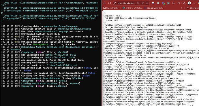 This split-screen shot shows logs detailing actions on the left and Angular Javascript code on the right. (Captioned by AI)