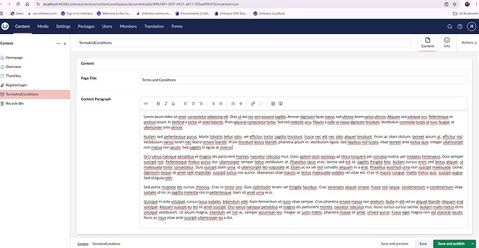 A CMS screen displays a "Terms and Conditions" content page with placeholder text for a page title and a content paragraph filled with lorem ipsum text. (Captioned by AI)