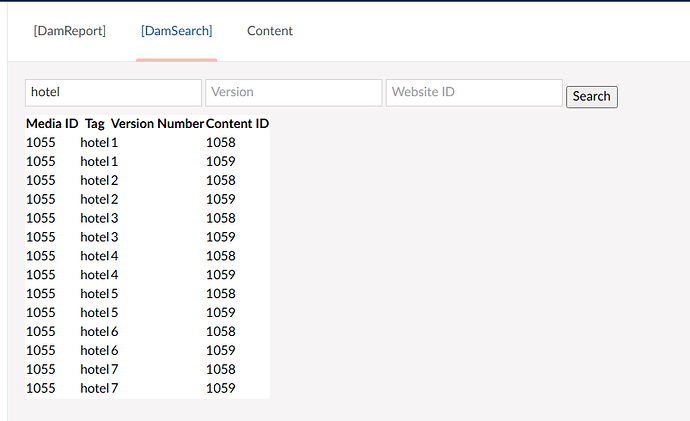 A screenshot shows the results of a search in a digital asset management system, displaying media IDs, tags related to "hotel" with numbered versions, and content IDs. (Captioned by AI)