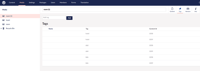 The image shows the 'Tags' section of a content management system, displaying a list of tags associated with "room (1)" and providing an option to add new tags. (Captioned by AI)
