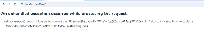 The browser displays an error message indicating an unhandled exception occurred while processing the request because it was unable to convert the user ID to an integer using InvariantCulture. (Captioned by AI)