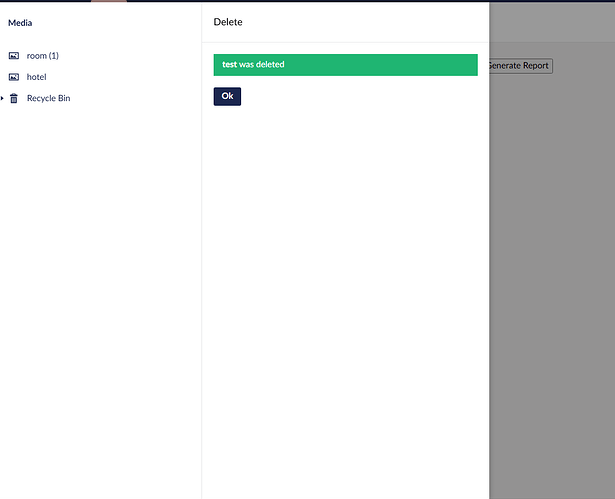 A confirmation message reading "test was deleted" appears in a pop-up window over a website's media management interface. (Captioned by AI)
