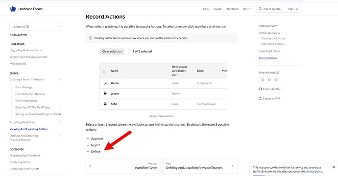 An arrow points to the word "Delete" under "Record bulk actions" on a website screen listing possible actions for form entries. (Captioned by AI)