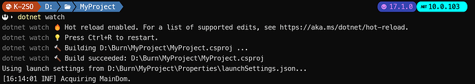 A screenshot oof a terminal, it reads: dotnet watch dotnet watch 🔥 Hot reload enabled. For a list of supported edits, see https://aka.ms/dotnet/hot-reload. dotnet watch 💡 Press Ctrl+R to restart. dotnet watch 🔨 Building D:urnyProjectyProject.csproj ... dotnet watch 🔨 Build succeeded: D:urnyProjectyProject.csproj