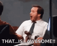 That Is Awesome GIFs | Tenor