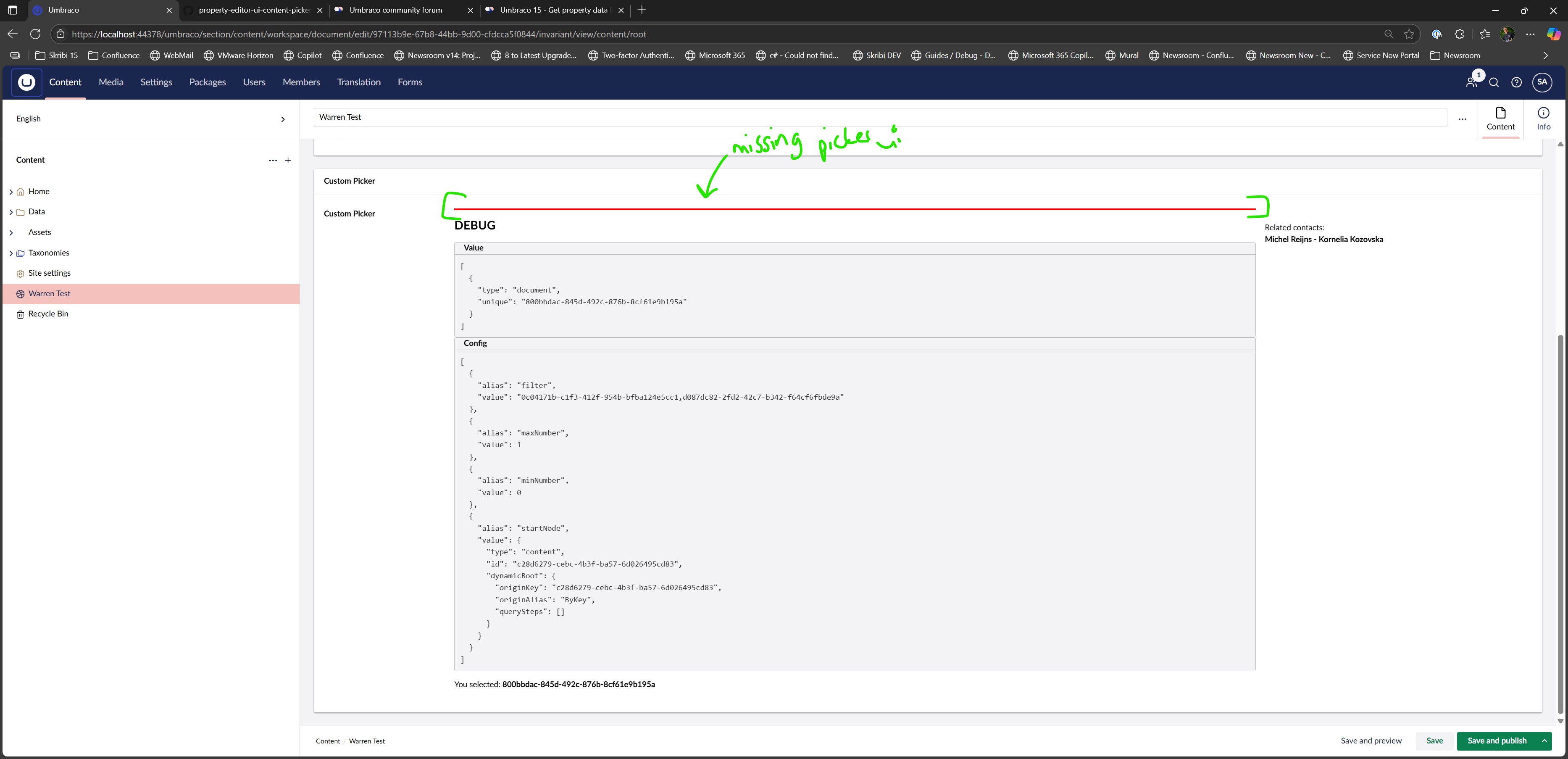 A screenshot of a website interface displays JSON code in a debug section, with a red line and text indicating 'missing pictures in' at the top. (Captioned by AI)