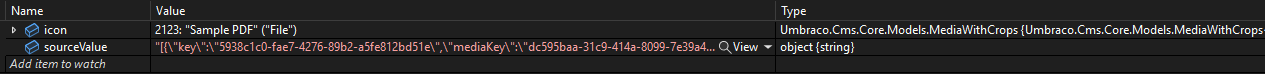 Visual Studio debug properties showing a valid icon and sourcevalue