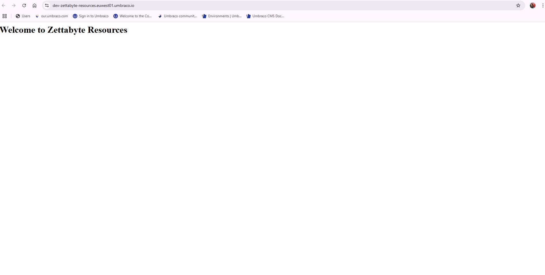 A browser displays the words "Welcome to Zettabyte Resources" in plain text. (Captioned by AI)